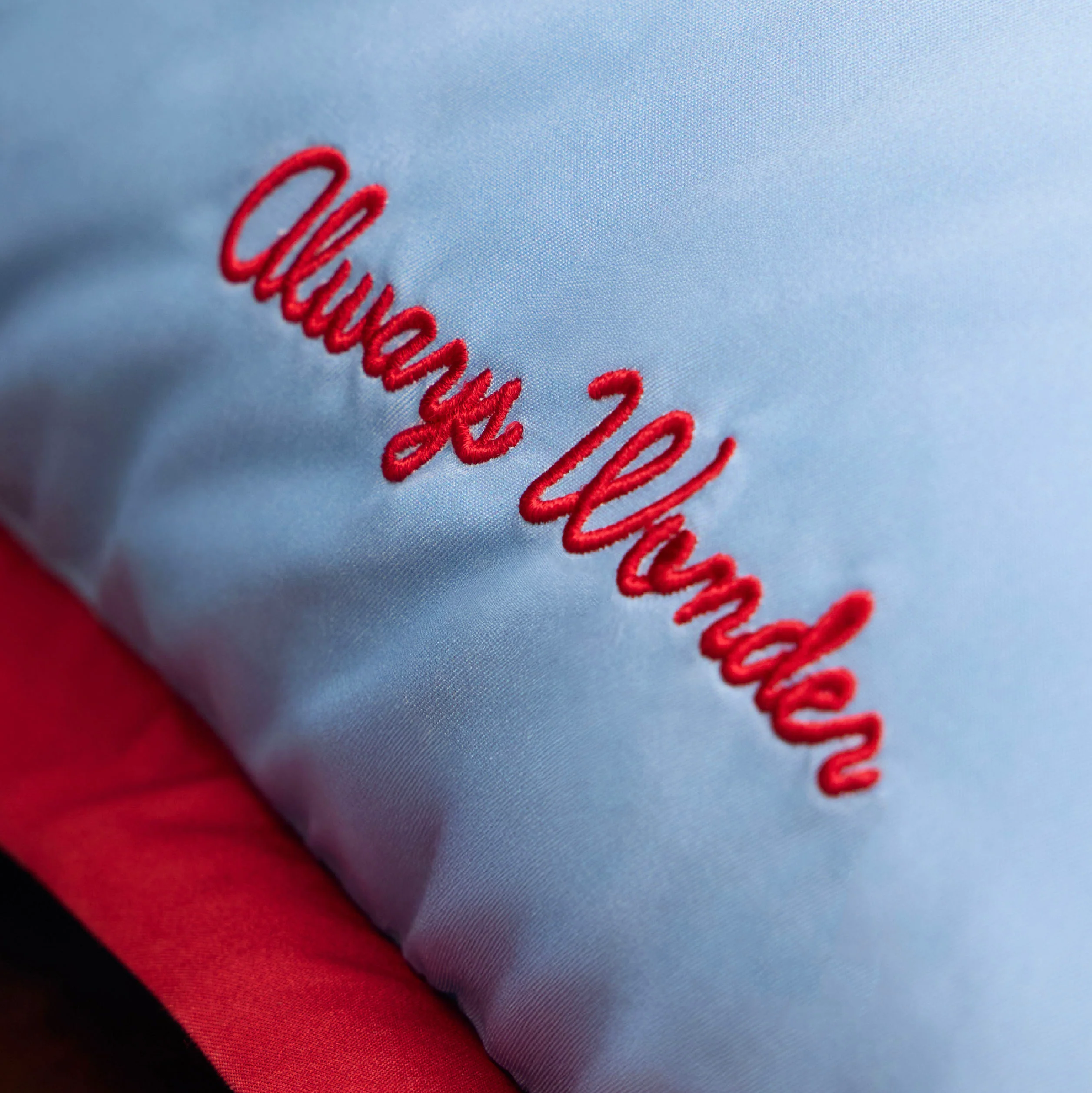 Easy Soft Pillow Case | Sky blue with cherry accent - Image 3