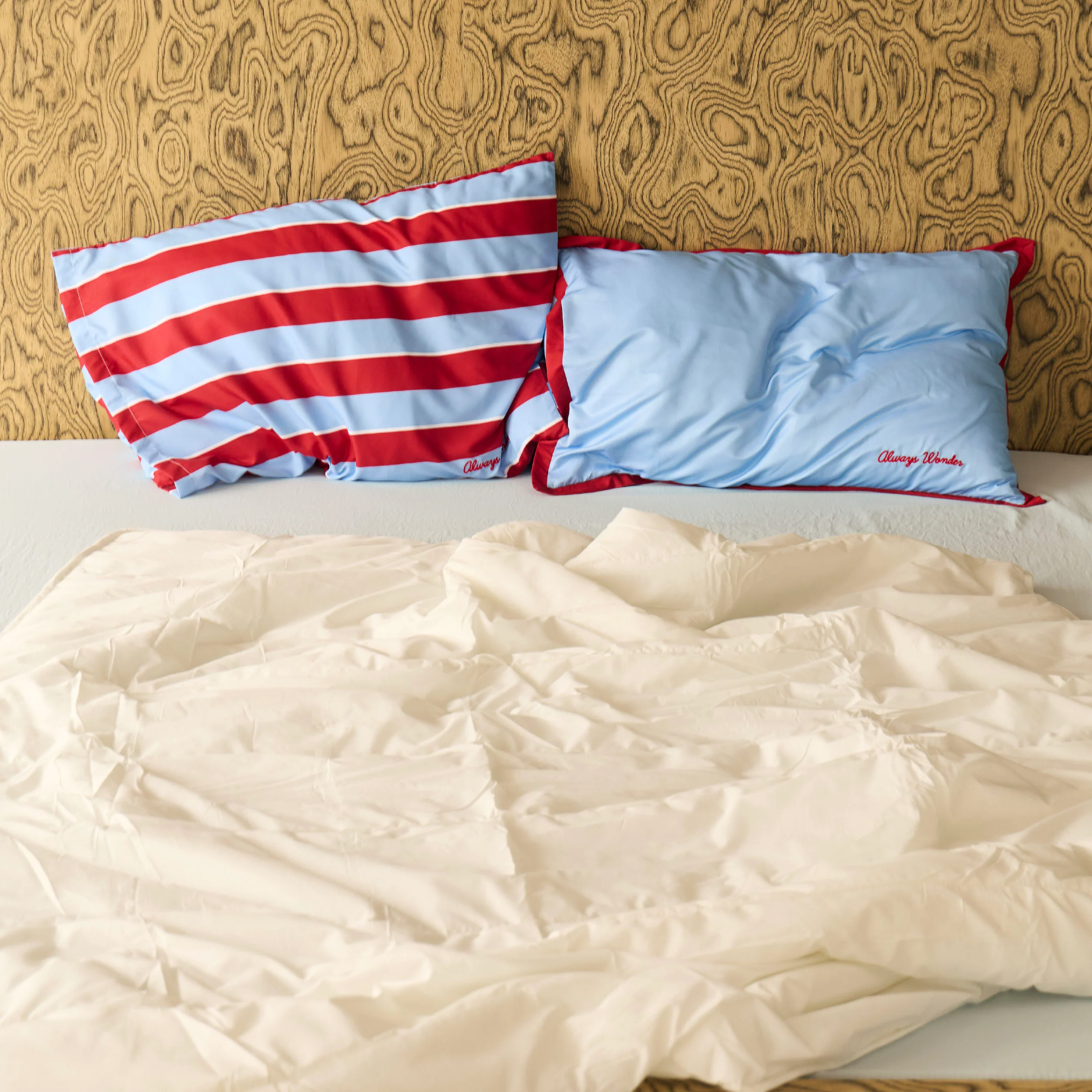 Homey Comfort Pillow Case | Clear sky blue with cherry accent - Image 2