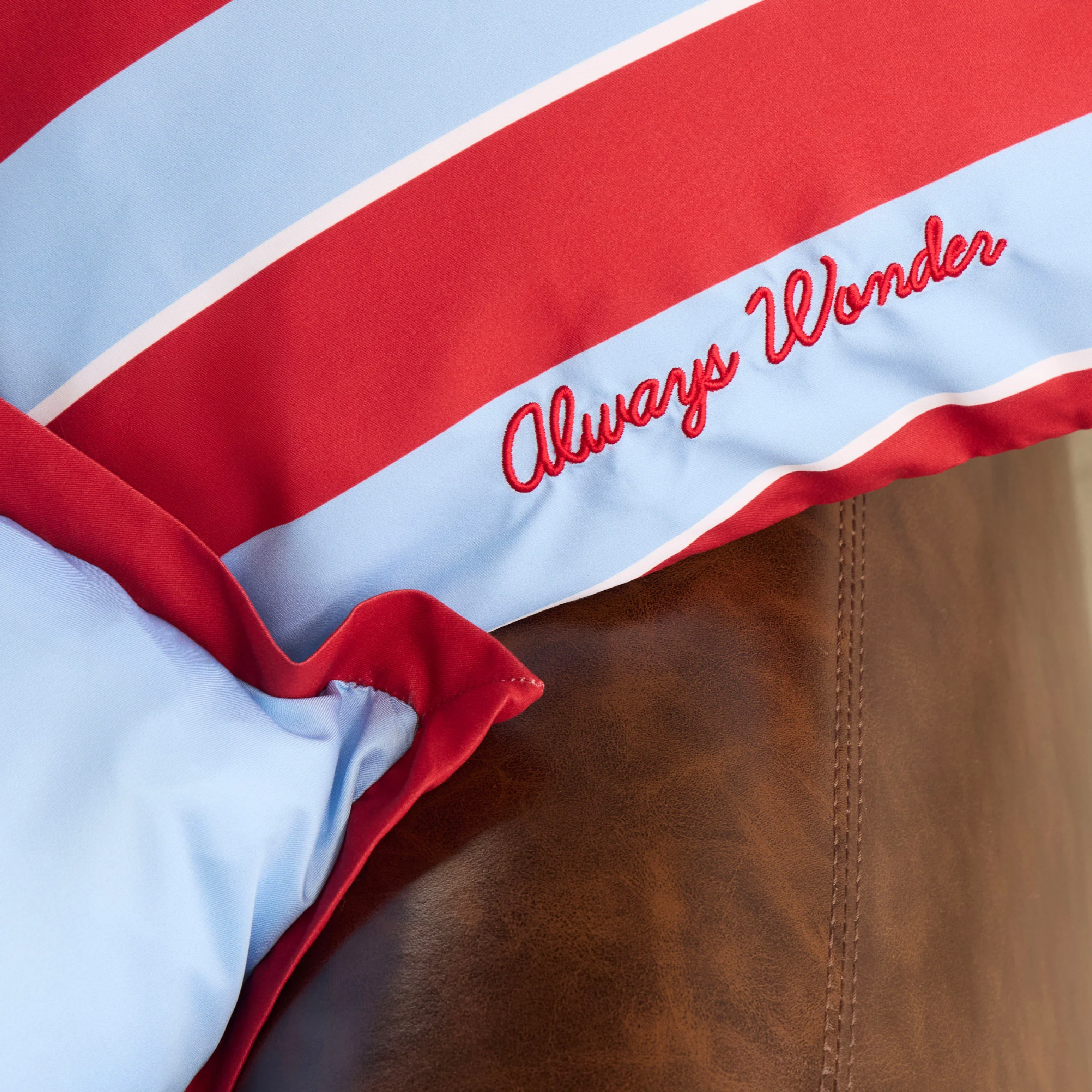 Homey Comfort Pillow Case | Clear sky blue with cherry accent - Image 4
